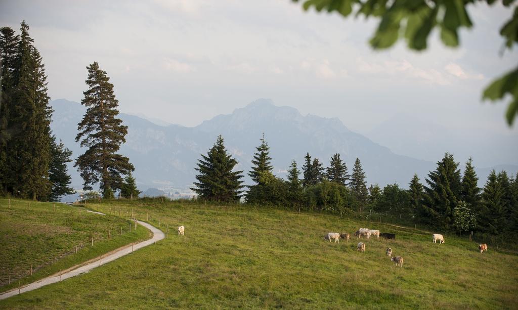 Panoramagasthof Auf Dem Auerberg Bernbeuren Exterior foto